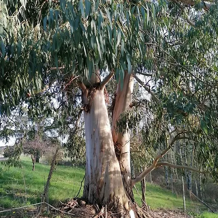Bed and breakfast Du A La Terre 3*