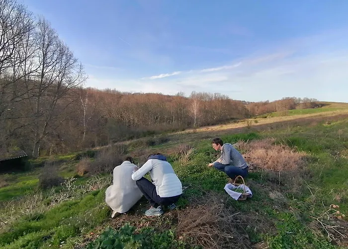 Du A La Terre Saint-Gaudens (Haute-Garonne)