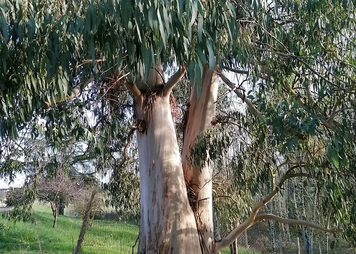 Alojamento de Acomodação e Pequeno-almoço Du à La Terre 3*